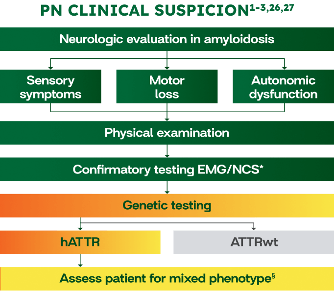 WAINUA Patients with Polyneuropathy Due to hATTR