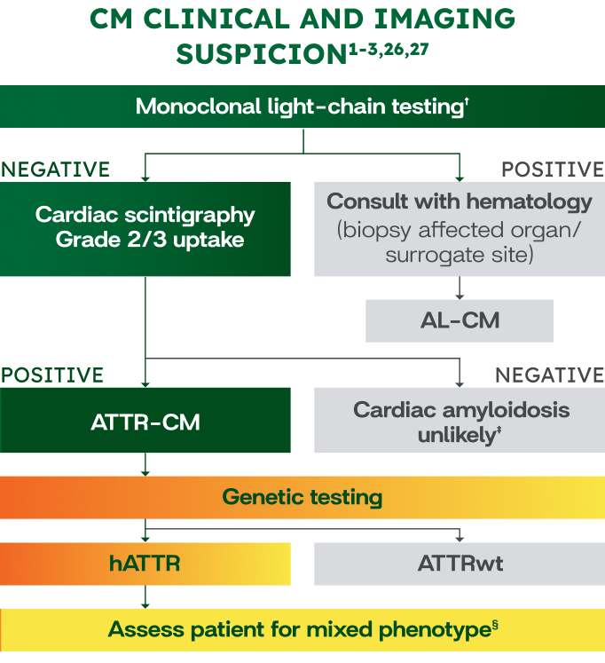 WAINUA Patients with Polyneuropathy Due to hATTR