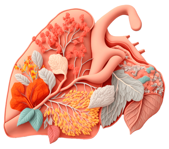 heart 3D sculpt