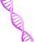 DNA Silencer