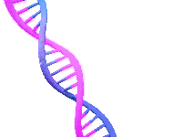 mRNA Targeted Degradation
