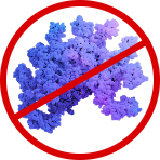 Reduced TTR Protein Levels