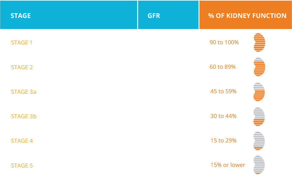 Five Stages of CKD