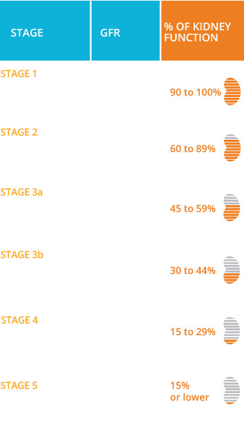 Five Stages of CKD
