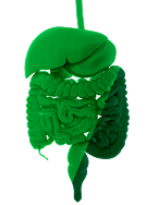Gastrointestinal Manifestation – Active