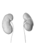 Nephropathy Manifestation