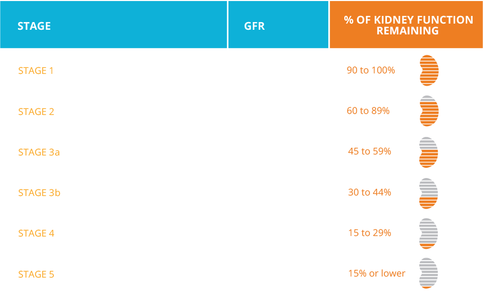Five Stages of CKD
