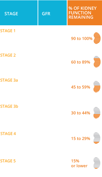 Five Stages of CKD